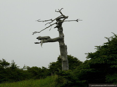 Маяк на мысе Терпения самой восточной части острова Сахалин