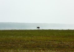 Радиолокаторная станция - шарики РПУ - мыса Обширный на Сахалине