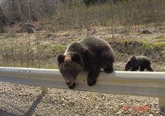 Руины японского ЦБЗ "Сикука" в городе Поронайск на Сахалине