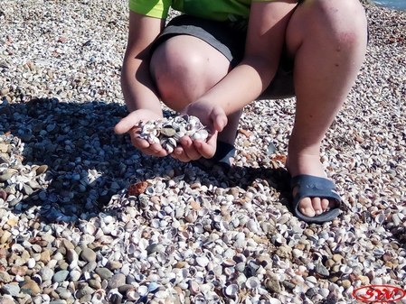 Пляж вдоль ул. Железнодорожной