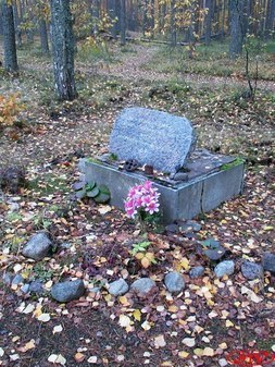 Памятники на месте боев на линии VT