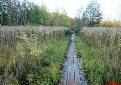 Озеро Пенино