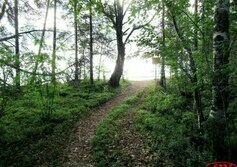 Экотропа «Обитель батюшки Онего»