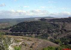 Гора Придорожная