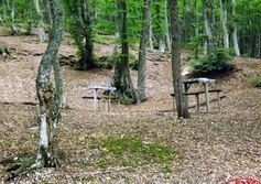 «Школьная поляна»