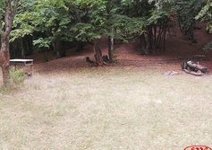 «Школьная поляна»