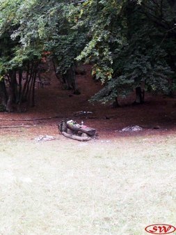 «Школьная поляна»