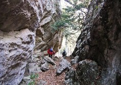 Тисовое ущелье