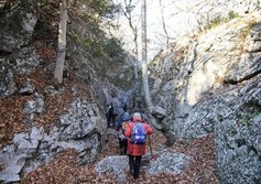 Тисовое ущелье