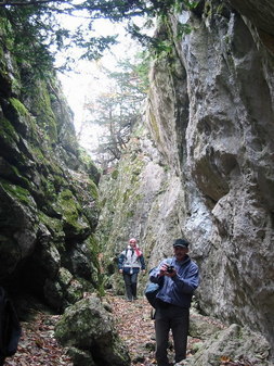 Тисовое ущелье