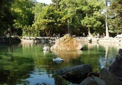 Лебединое озеро в Воронцовском парке