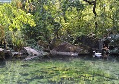 Форельное озеро в Воронцовском парке