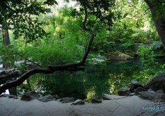 Форельное озеро в Воронцовском парке