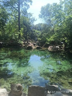 Форельное озеро в Воронцовском парке