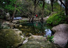 Зеркальное озеро в Воронцовском парке