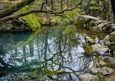 Зеркальное озеро в Воронцовском парке