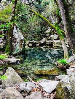 Зеркальное озеро в Воронцовском парке
