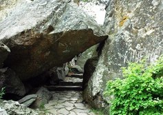 Малый хаос в Воронцовском парке