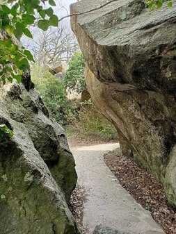 Малый хаос в Воронцовском парке