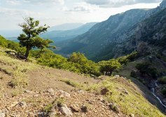 Ущелье Чигенитра