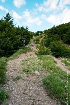 Ущелье Чигенитра