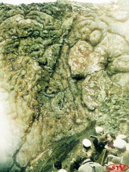 Застывший лавовый поток Петропавловского палеовулкана