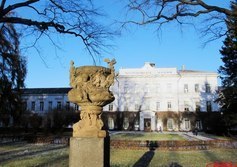 Парк Лесотехнической академии