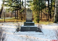 Памятник Э.Л. Вольфу