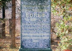 Памятник Э.Л. Вольфу