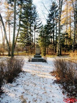 Памятник Э.Л. Вольфу