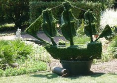 Приморский парк Никитского ботанического сада