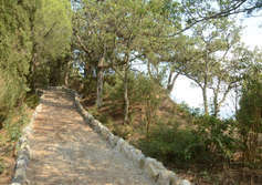 Парк «Монтедор» в Никите