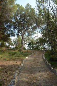 Парк «Монтедор» в Никите