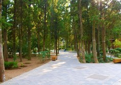 Пионерский парк в Ялте