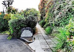 Начало Солнечной (Царской) тропы