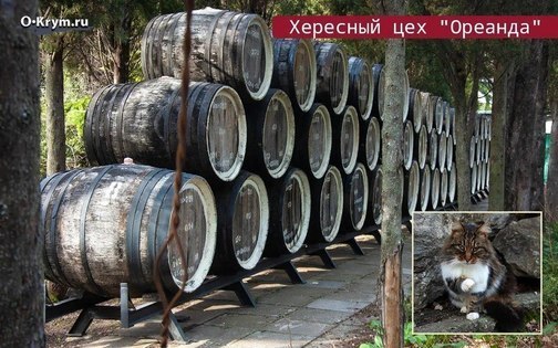 Винный подвал имения Ореанда