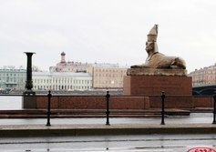Древнеегипетские сфинксы на Университетской набережной