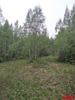 гора Кивисюрья