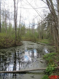 Малый пруд в усадьбе Дружноселье