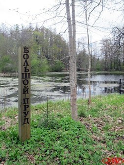 Большой пруд в усадьбе Дружноселье