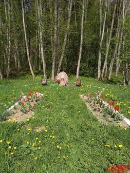 Место гибели лётчика В.П. Нестерова