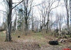 Усадьба Власово в Кирово