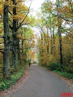 Парк бывшей усадьбы Штиглица Краморская