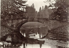 Горбатый мост в усадьбе Демидовых Тайцы