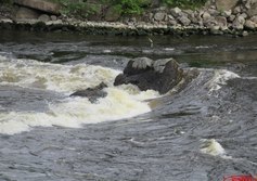 Камень "Жандарм"