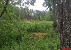 Пушкинский камень в усадьбе Батово