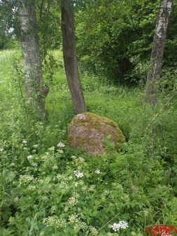 Пушкинский камень в усадьбе Батово