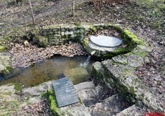 Парк усадьбы Домашово