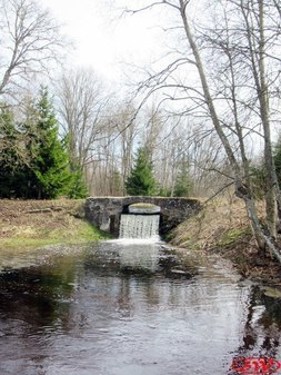 Парк усадьбы Домашово
