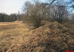 Кайболовское городище